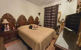 Lovely Classic Room